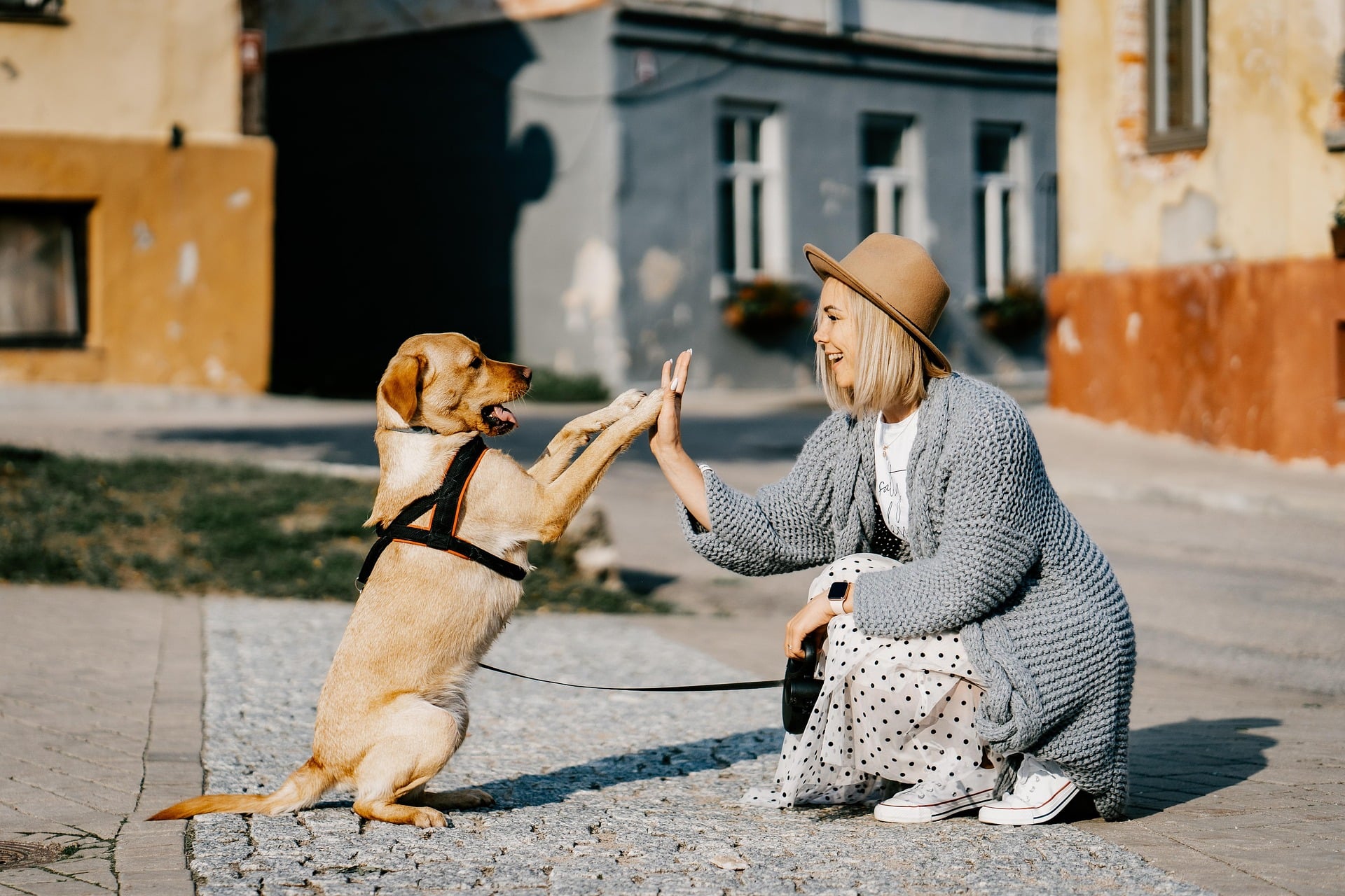 You Had Me at “Hello”: 10 Professional Email Greetings to Impress from the Start